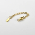 Close-up of golden stainless steel extension chain with lobster clasp and S.Steel tag - Oval Tag / Gold