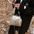 Silver metallic crossbody bag with pearl handle and metal butterfly buckle on模特 background - Silver