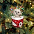 19-Shih Tzu