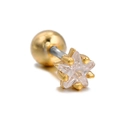 Minimalist gold star ear stud with clear zircon and secure screw ball back closure - Gold Five-pointed Star
