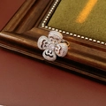 Detail of silver clover ring with sparkling zircon inlay set on a vintage frame - Ring - Silver