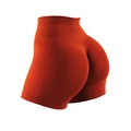 Seamless burnt orange yoga shorts with high-waisted tummy control and push-up effect - S / Orange