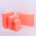 Coral pink paper shopping bags in four sizes with white twisted rope handles and glossy finish - Pink; 15*8*21 (small Vertical)