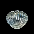 Vue macro d'une boîte de rangement en plastique transparent en forme de coquillage - Blanc