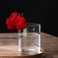 Minimalist cylindrical borosilicate glass hydroponic vase with a single red rose - D10cm*H12cm (850ML)