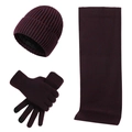 Winter-Strickset 3-teilig in Weinrot mit Mütze, Schal und Touchscreen-Handschuhen - Weinrot (Ohne Etikett)