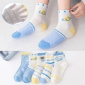 Five-pack of breathable summer mesh socks for kids with cute bear and space patterns - Luck Bear Mesh (Assorted)