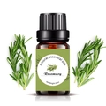 10ml Rosemary natural essential oil bottle with fresh rosemary plants on the background - 10ml / Rosemary