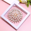 Elegant gold radial brooch featuring a cluster of white pearls and sparkling clear diamonds - XZ175-Radiant Pearl-Boxed