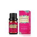 10ml pure organic geranium essential oil in brown glass bottle with pink floral box - Geranium Oil