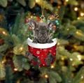 Französische Bulldogge im roten Weihnachtsstrumpf Anhänger mit festlichem Rentiergeweih - Französische Bulldogge Typ 2