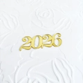 Nahaufnahme der goldenen 2026 Acryl-Zahlen für festliche Neujahrs-Kuchendekorationen - 2026 Modell A Gold / Breite ca. 7CM