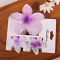 Fragrance Purple Set Standard