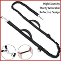 Laisse élastique noire pour chien avec deux poignées, coutures réfléchissantes et mousqueton - Laisse pour animal / Noir