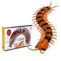 Infrared remote control scolopendra toy in orange and black with remote and box - Remote Control Centipede - Yellow Black