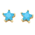 Close-up of star-shaped turquoise earrings with gold claw setting on a white background - Star Stud Earrings Gold