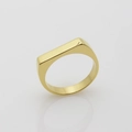 Minimalist gold plated stainless steel flat top ring with a mirror polished finish - US 6 / Gold