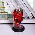 Detailaufnahme roter Seifenrosen im Glasdom mit LED-Licht und Eternal-Band - Rote Rose