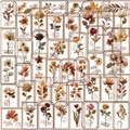 50 wasserfeste Vintage-Blumensticker aus transparentem PET für Tagebuch und Laptop-Deko - Vintage Botanische Aufkleber Packung