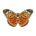 Vibrant orange and yellow butterfly enamel pin with intricate gold metal outlines - Orange Black Monarch Butterfly