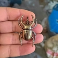 Realistische Hirschkäfer-Figur aus Bronzelegierung als dekoratives Accessoire für Zuhause - Marienkäfer