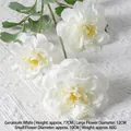 Geranium White