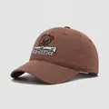 Detailed close-up of brown cotton kids cap featuring cartoon bear and letter embroidery - 50cm / Brown