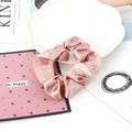 Elegant pale pink satin scrunchie with silky finish and pleated elastic design - 19#-Flesh Pink