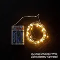 3m 30-LED warm white copper wire string lights with AA battery box for holiday decor - Copper Wire Light / 3m 30-LED Battery Box