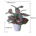 Artificial fittonia plant in white pot with pink veins, 26cm height, for indoor decor - Medium Pot + Red Perilla Leaf