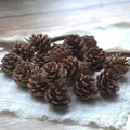 Set de 5 piñas naturales secas 4-5cm para decoración navideña y coronas de bricolaje - Piña Natural / Grande (4-5cm) - 5 Unidades