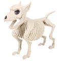 Realistic white plastic dog skeleton model for Halloween prop or horror party decor - Skeleton Wolf Dog
