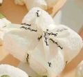 White coral fleece square towel in gift packaging with Just for you ribbon bow - Cream White Ribbon Small Block (30*40cm)