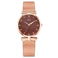 Orologio al quarzo da donna in oro rosa con quadrante marrone e cinturino mesh - Marrone