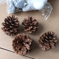 Natuurlijke bruine dennenappels met grijze en witte pluchen ballen voor kerst - 2-3CM Lokale Dennenappel
