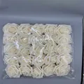 Creamy white PE foam artificial roses neatly arranged for DIY wedding flower decor - Rose Leaves (25pcs) / Champagne