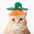 Funny carrot pet hat for cats and small dogs in bright orange plush with green leaves - Pumpkin Shape Hat