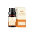 10ml mango flavor water-soluble essential oil in amber glass bottle with paper packaging box - Mango