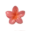 Pink and orange gradient plumeria flower hair claw clip for elegant bun hairstyles - Watermelon red