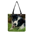Border Collie Puppy (hm5155)