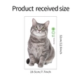 Cartoon grey tabby cat wall sticker FX-F216 in PVC material sized 32cm by 19.5cm - Grey Striped Cat-FX-F216
