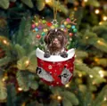 Weihnachtsstrumpf-Hundeanhänger mit Geweih und bunten Lichtern an goldener Kordel - Gefleckter Hund