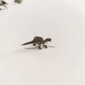 Dettaglio della texture della pelle e della pinna di una statuetta in miniatura di spinosauro - Spinosauro