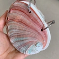 Handheld view of a pink and orange gradient natural abalone shell notebook with metal rings - Chilean Abalone Shell Notebook