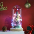 Gros plan d'un sapin de Noël miniature illuminé par LED sous un dôme en verre - Style 1
