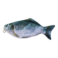 Realistic 3D crucian carp fish pencil case with a gold zipper and fish scale texture - River Crucian Carp
