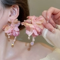 Pendientes de flores de tela rosa con pétalos degradados y borlas de cuentas de cristal - Borla de cristal degradada rosa (43#)