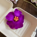 Dettaglio del fermaglio per capelli a ibisco viola scuro con pistillo giallo in scatola - Viola
