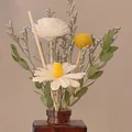 Dried sola flower bouquet with billy balls in a brown glass jar for home decor - White Tea