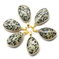 Water-drop dalmatian jasper stone pendants with gold-plated edges in a circular layout - Dalmatian Jasper (Single)